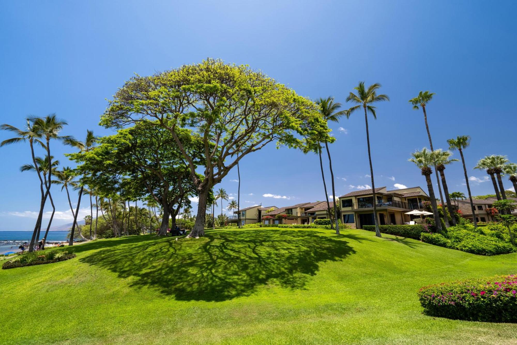 Elua 2001 Villa Wailea  Ngoại thất bức ảnh