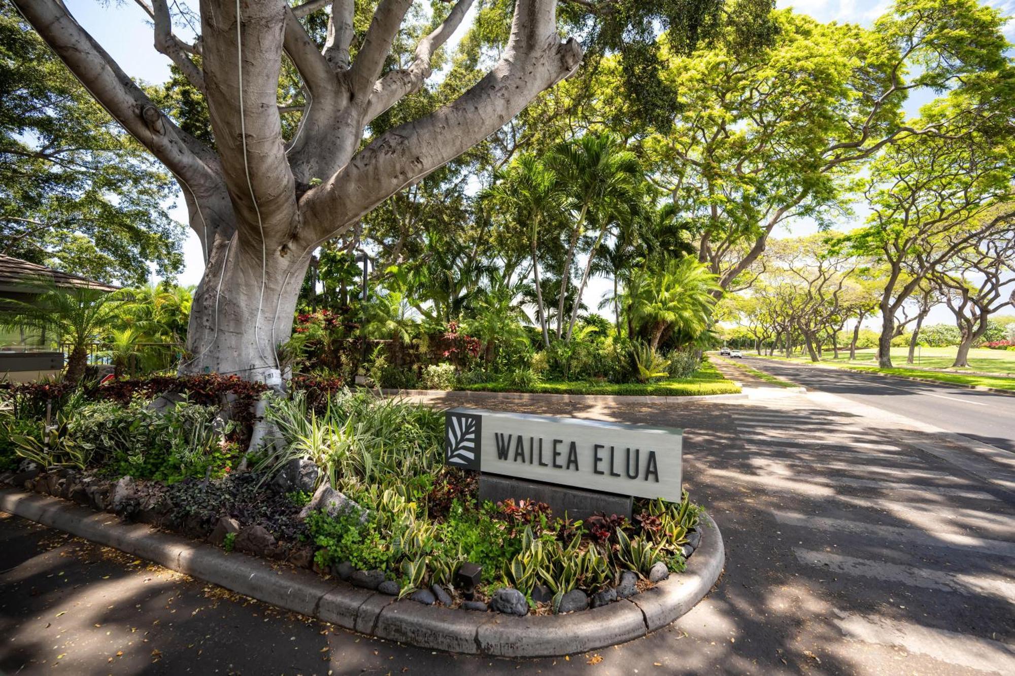Elua 2001 Villa Wailea  Ngoại thất bức ảnh